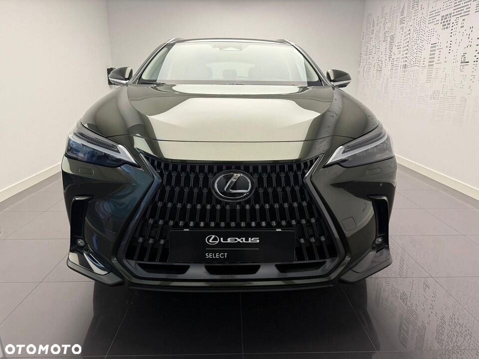 Lexus NX - 2