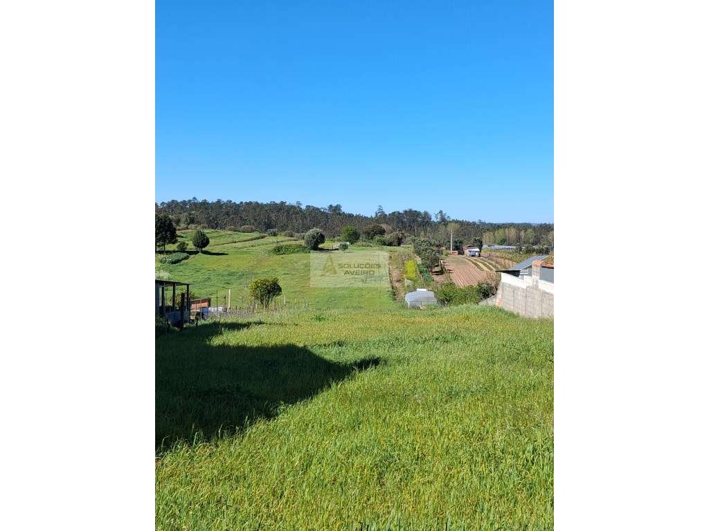 Terreno Urbanizável com 1.100m² | Excelente Exposição Solar | Zona ... - Grande imagem: 3/6