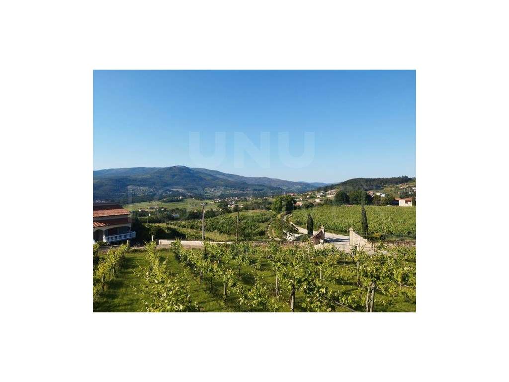 Quinta de Guimaré em Sá, Monção - Grande imagem: 2/9