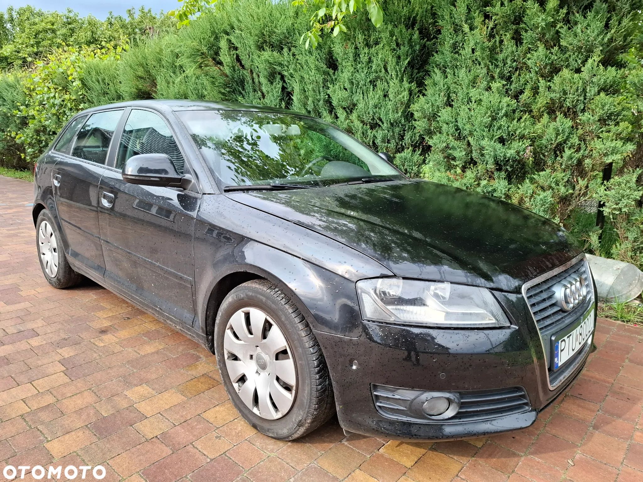 Audi A3 - 1