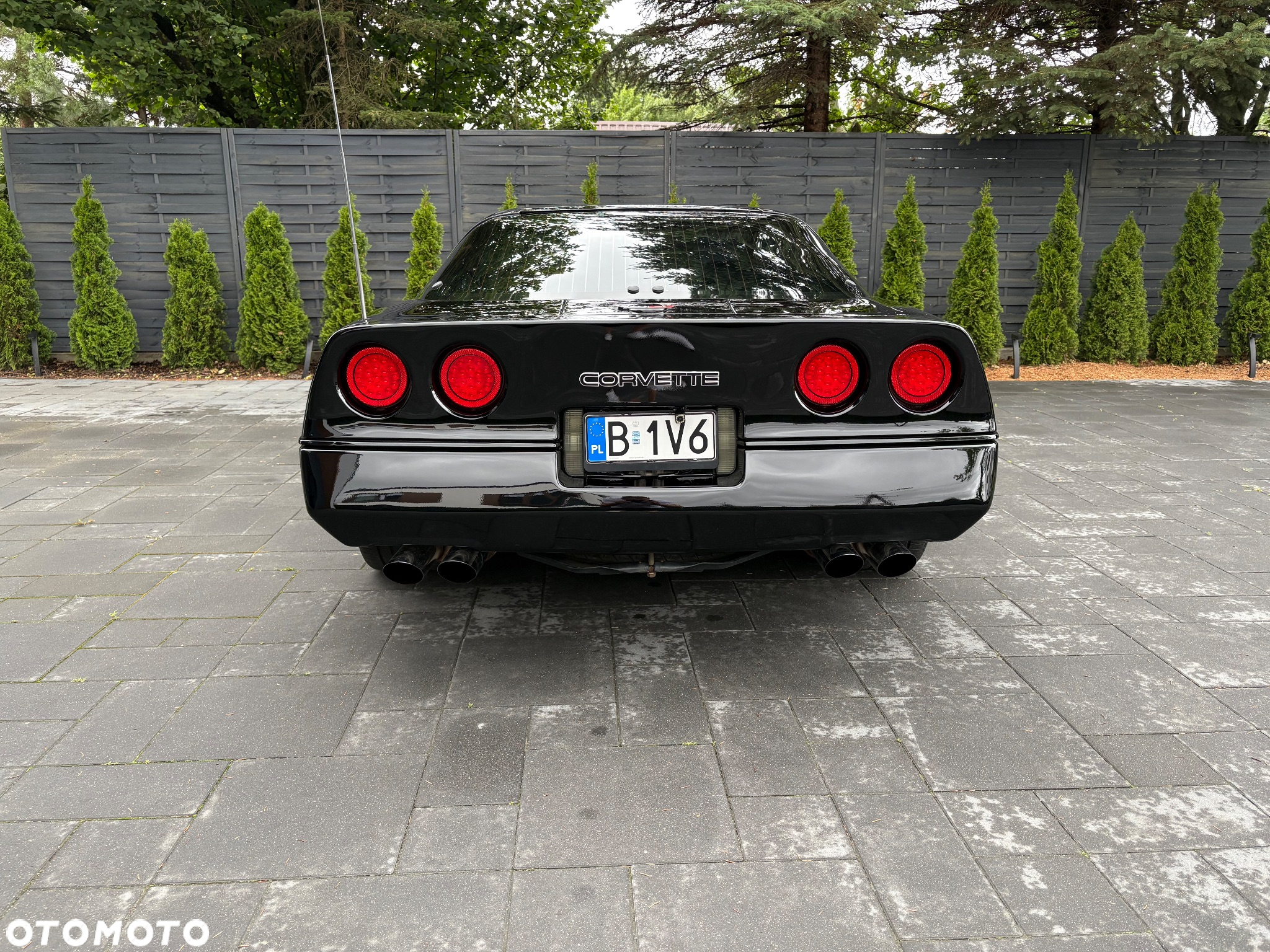 Chevrolet Corvette - 14