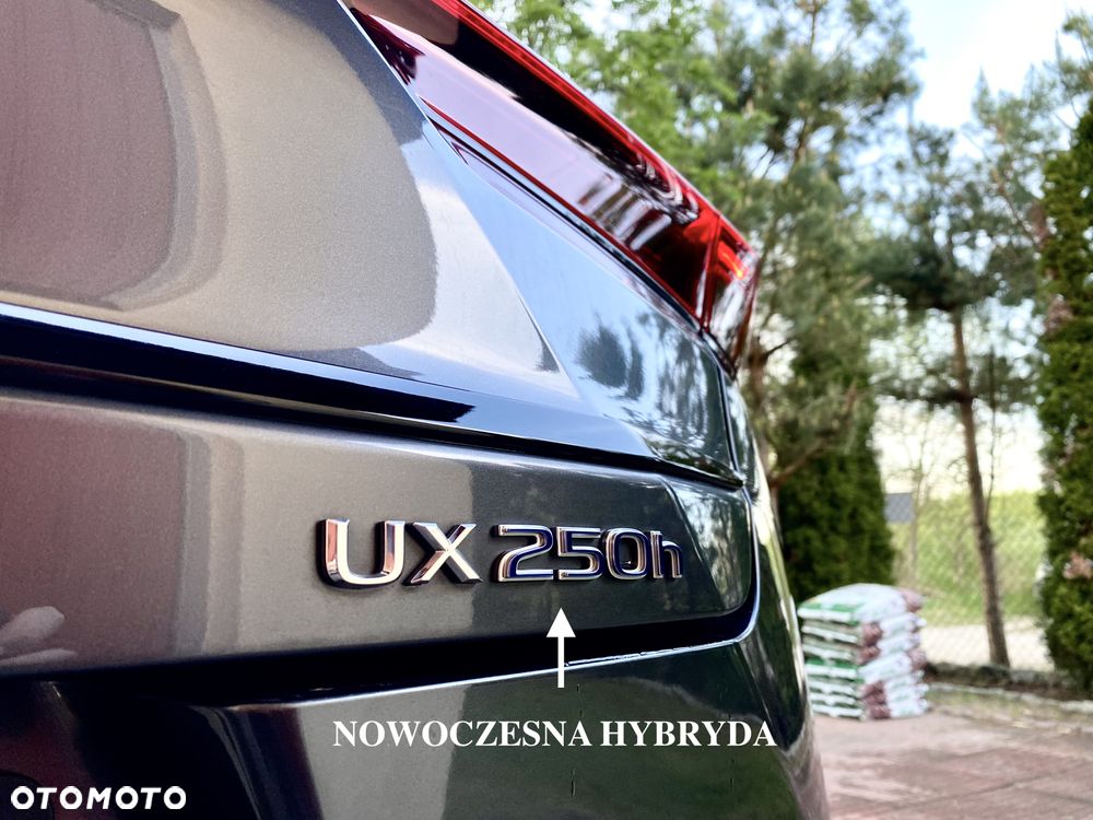 Lexus UX 250h GPF F Impression 2WD - 9