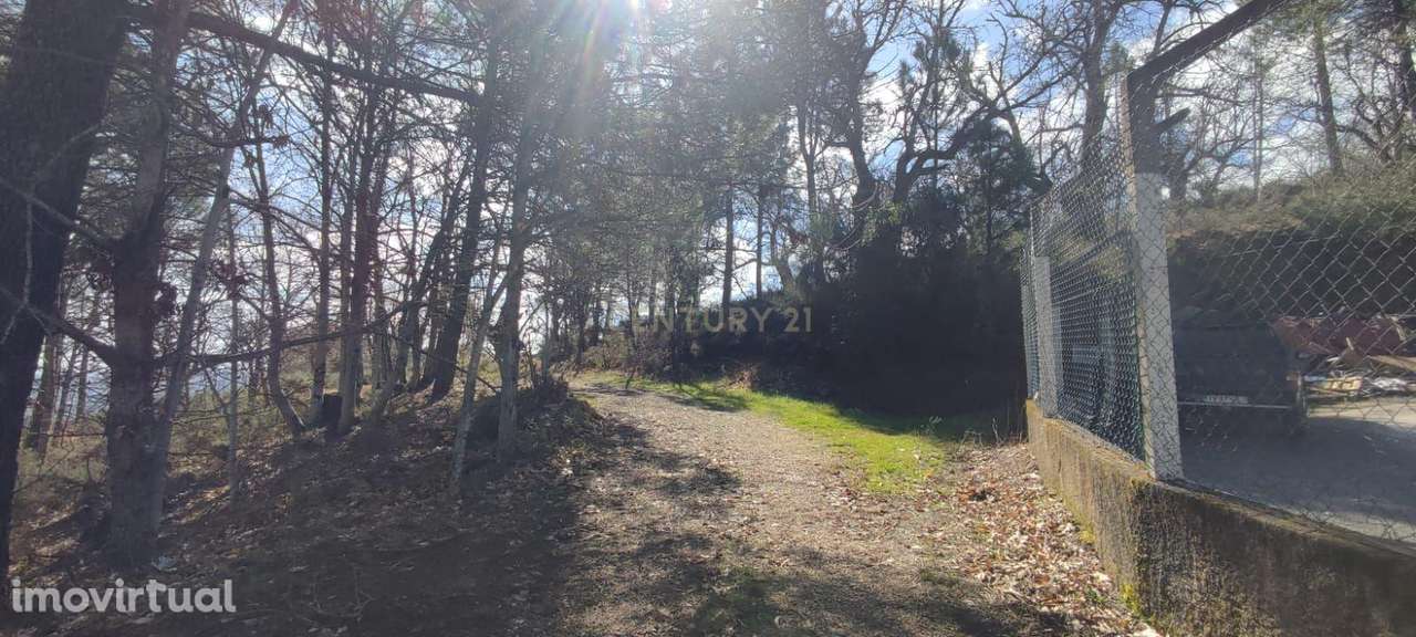 Terreno com possibilidade para construção de um armazém - Grande imagem: 2/12