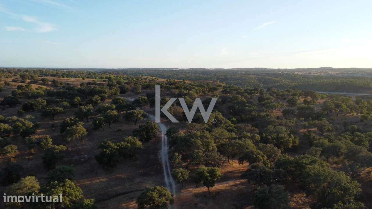 Refúgio Ideal no Alentejo: Investimento único com Potencial Agrícola e - Grande imagem: 2/23
