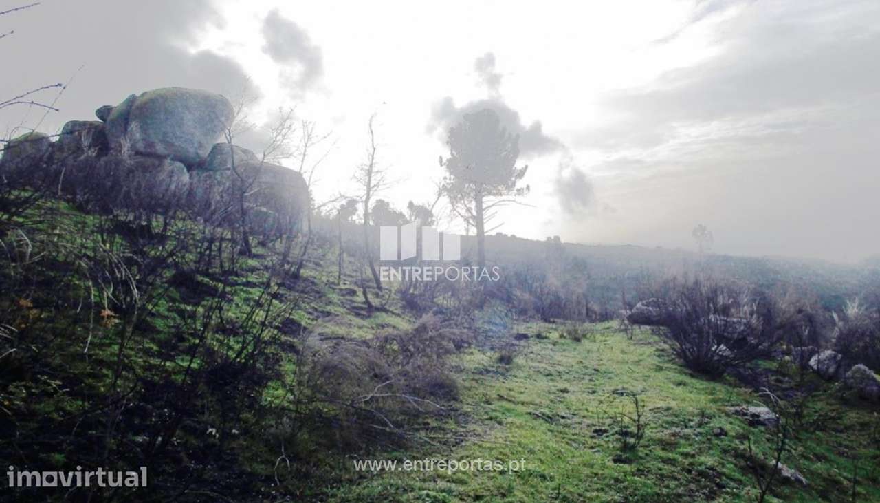 Venda Terreno, Folhada, Marco de Canaveses - Grande imagem: 4/9