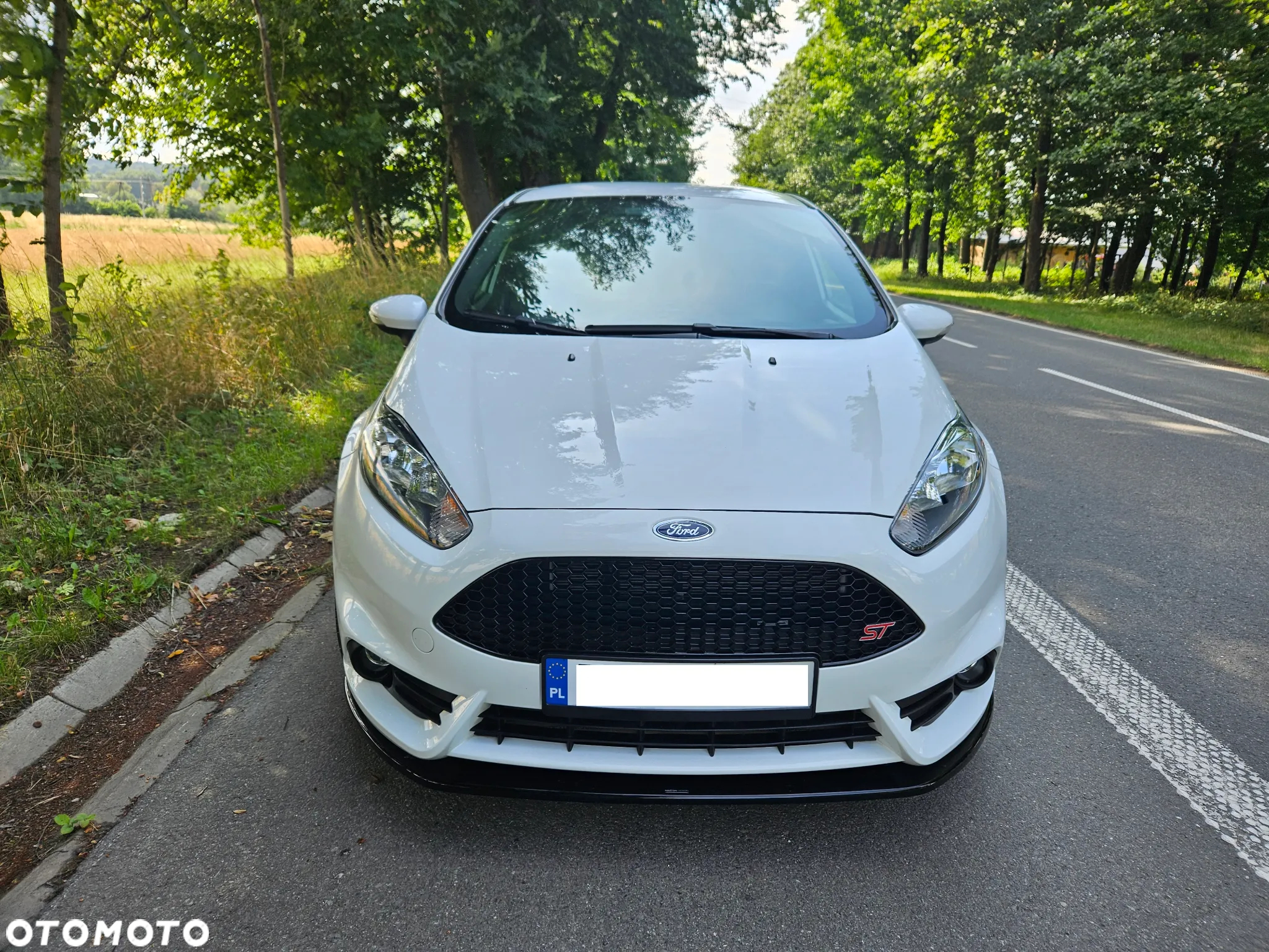 Ford Fiesta 1.6 EcoBoost ST - 4