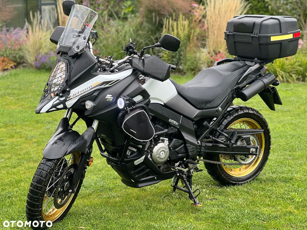 Suzuki DL - 1