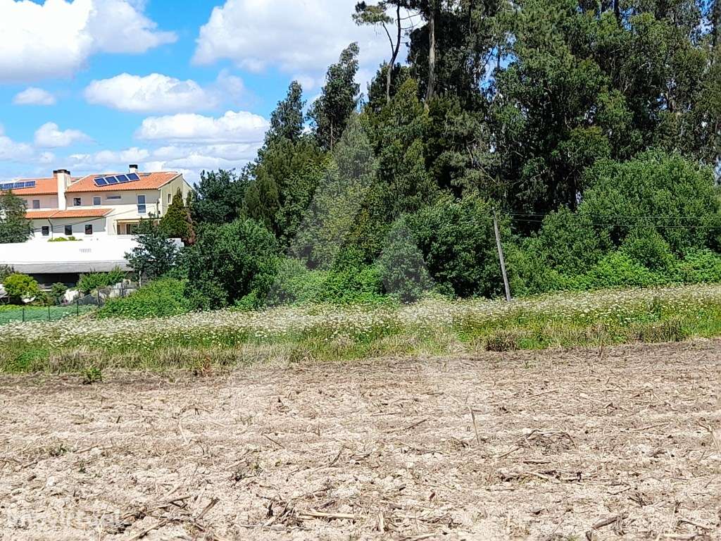 Terreno destinado a construção até 18 moradias na Patela, S.Bernardo - Grande imagem: 3/9