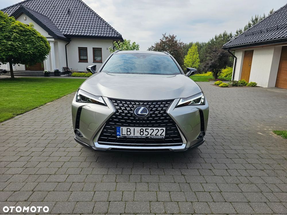 Lexus UX - 8