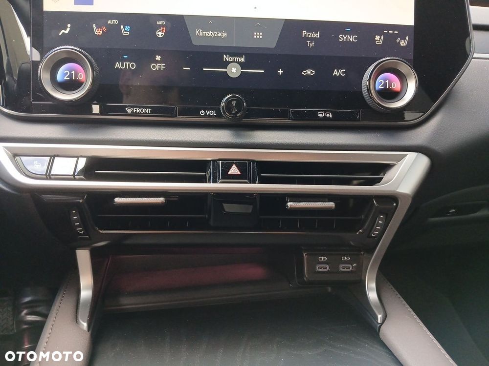 Lexus RX - 19