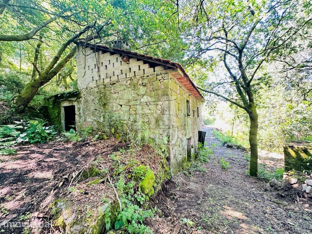 Quinta por recuperar para venda em Sande - Vila Verde - Grande imagem: 3/26