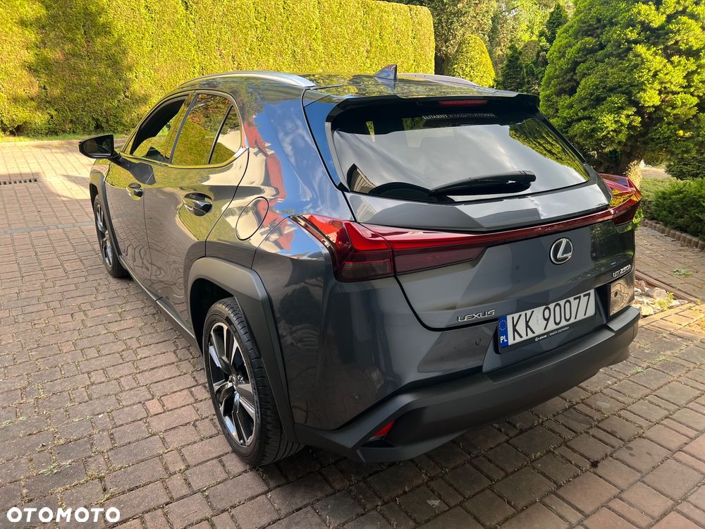 Lexus UX 250h GPF Business 2WD - 7