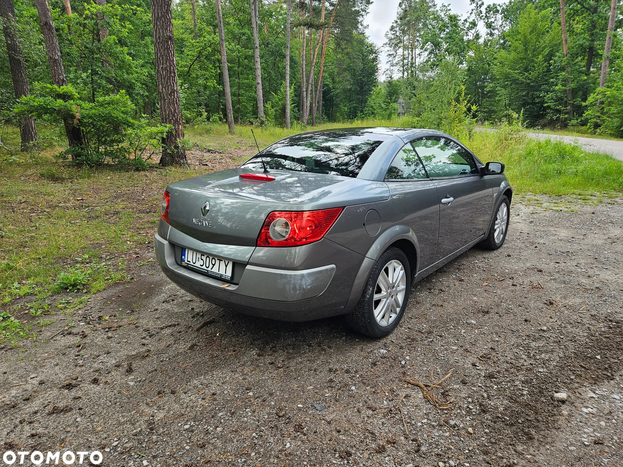 Renault Megane CC 2.0 16V Privilege - 11