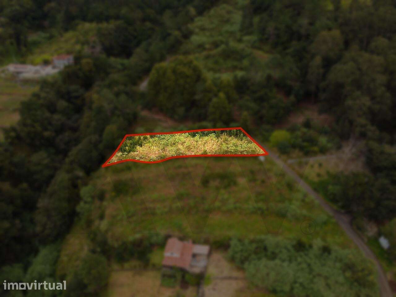 Lameiros, São Vicente – Terreno Plano e Fácil de Construir - Grande imagem: 5/15