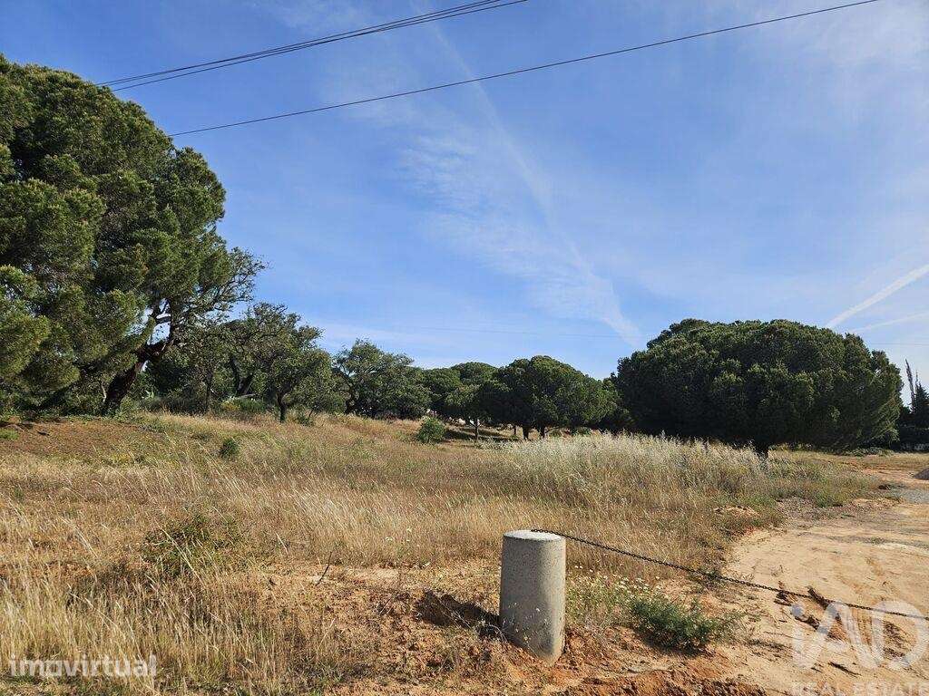 Terreno em Quarteira de 11540,00 m2 - Grande imagem: 4/11