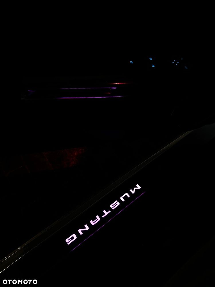 Ford Mustang 2.3 EcoBoost - 19