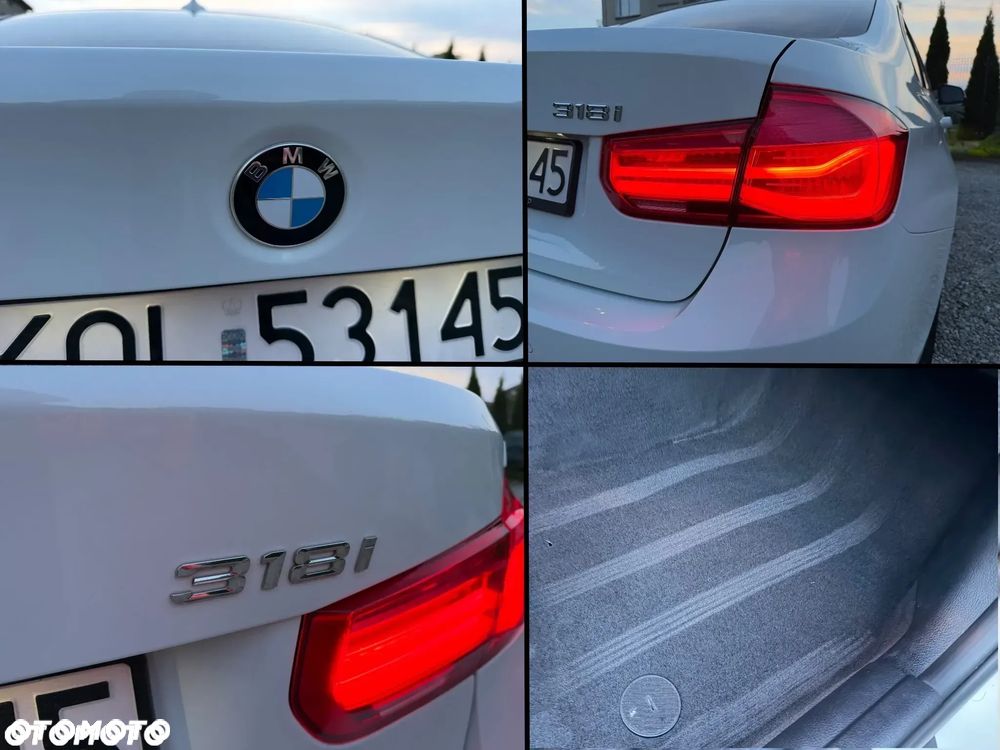 BMW Seria 3 318i Advantage - 18