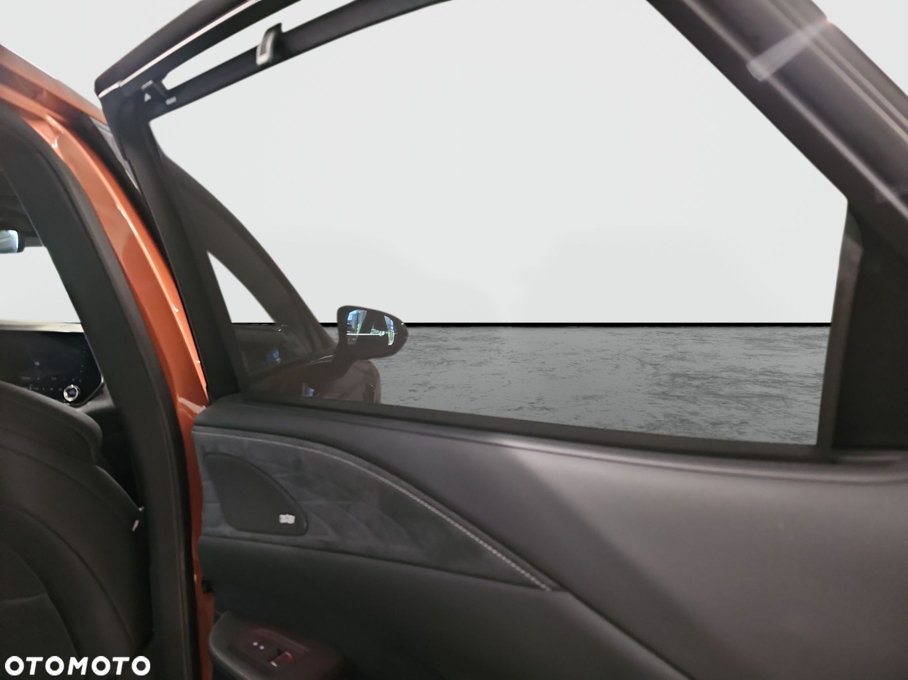 Lexus RX - 24