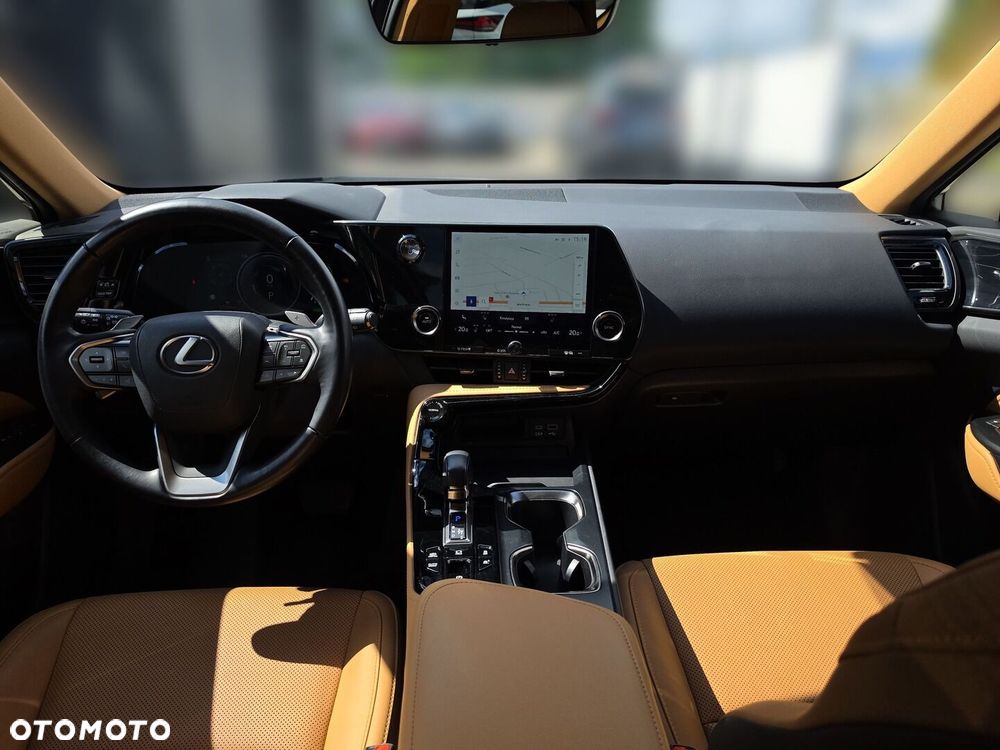 Lexus NX - 10