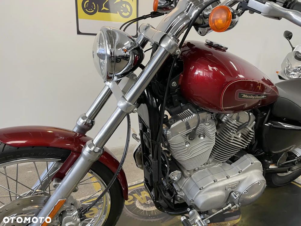 Harley-Davidson Sportster Custom 883C - 18