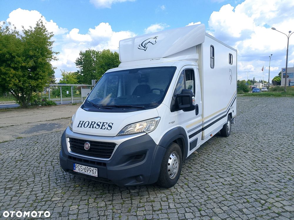 Fiat Ducato Koniowóz - 2