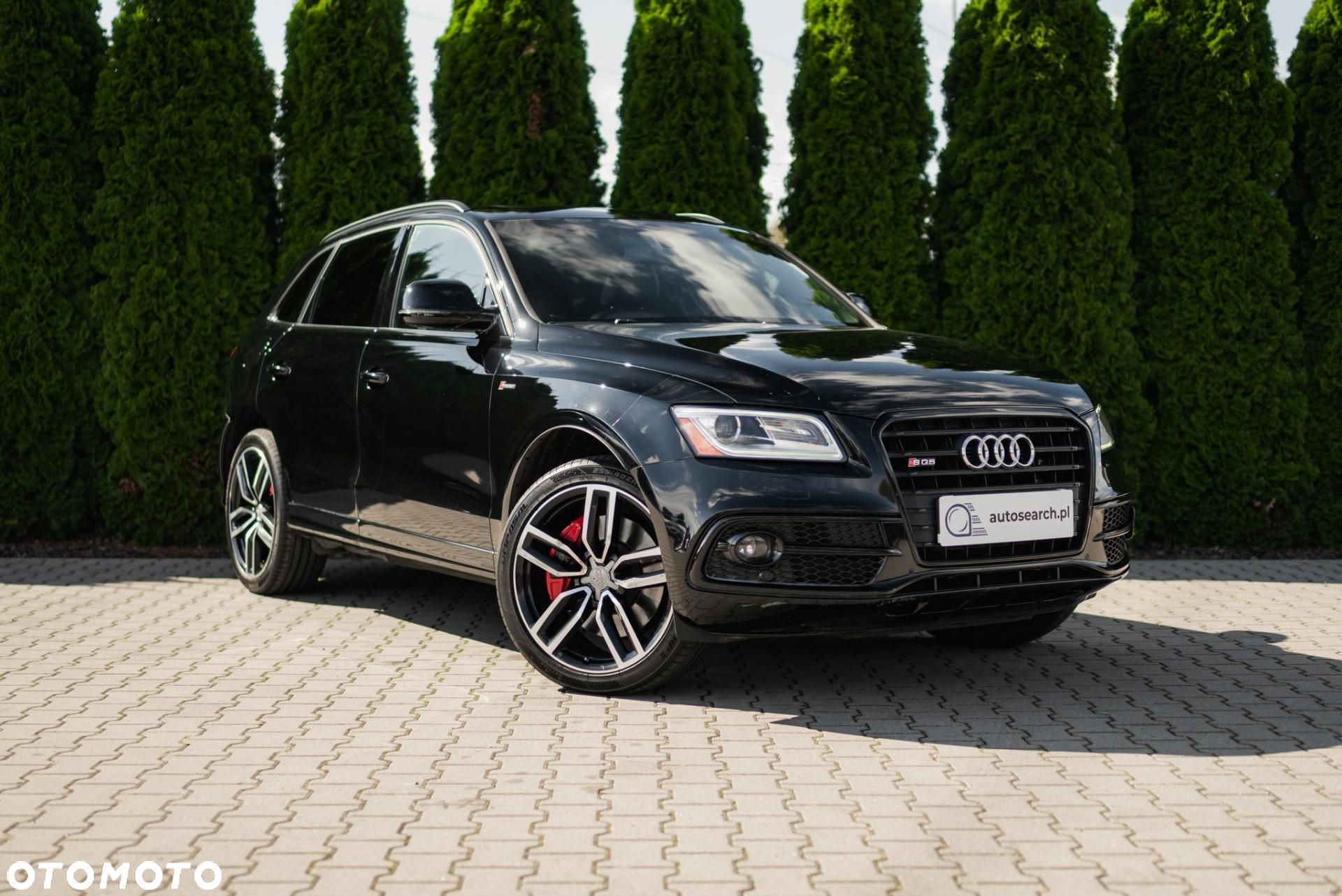 Audi SQ5 - 3