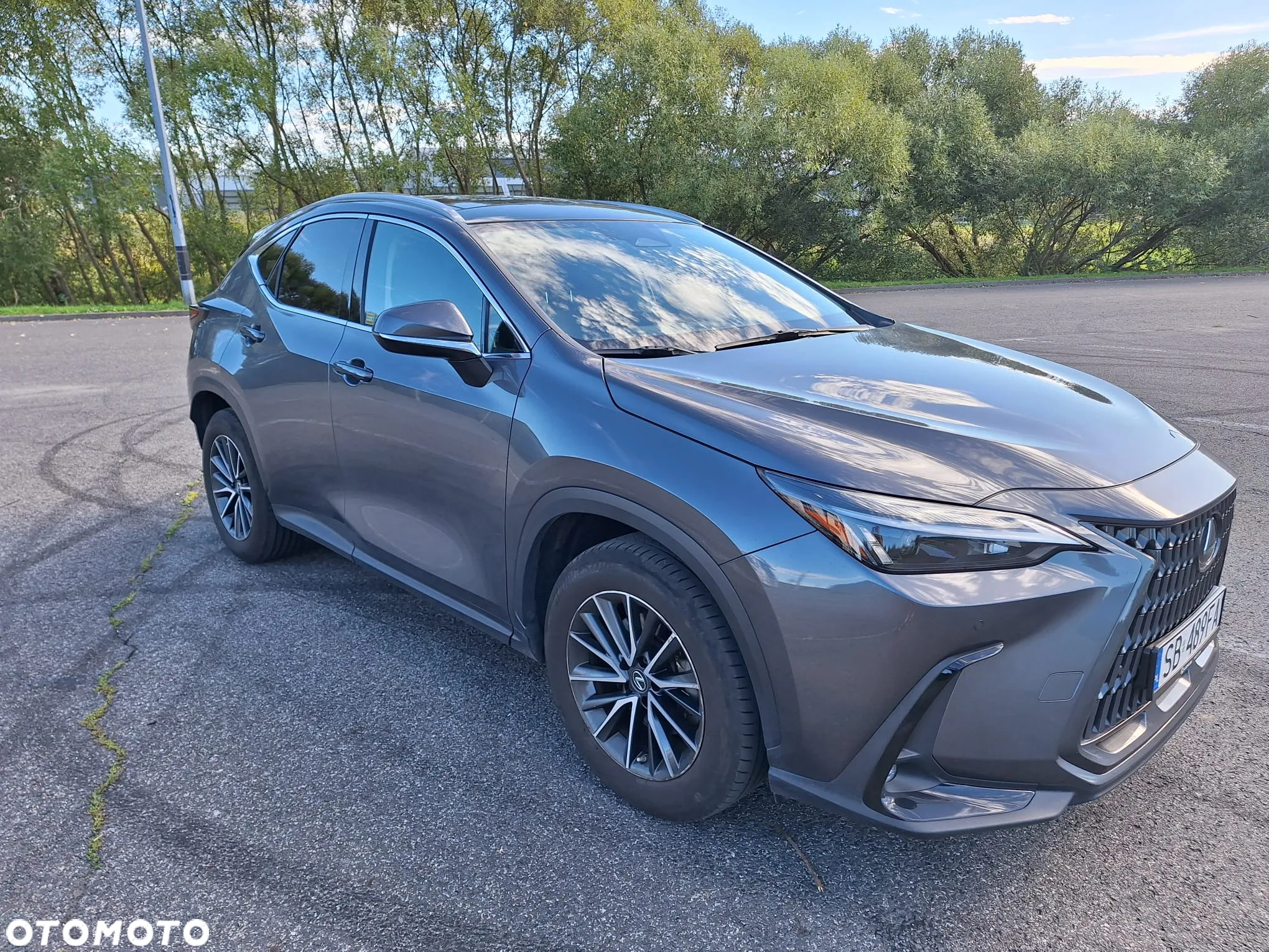 Lexus NX 350h Prestige AWD - 4