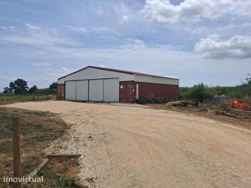 Terreno agricola - Grande imagem: 5/12