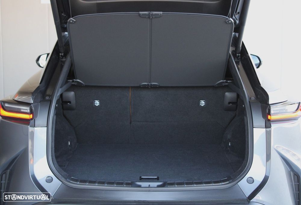 Lexus rz-300e Premium - 14