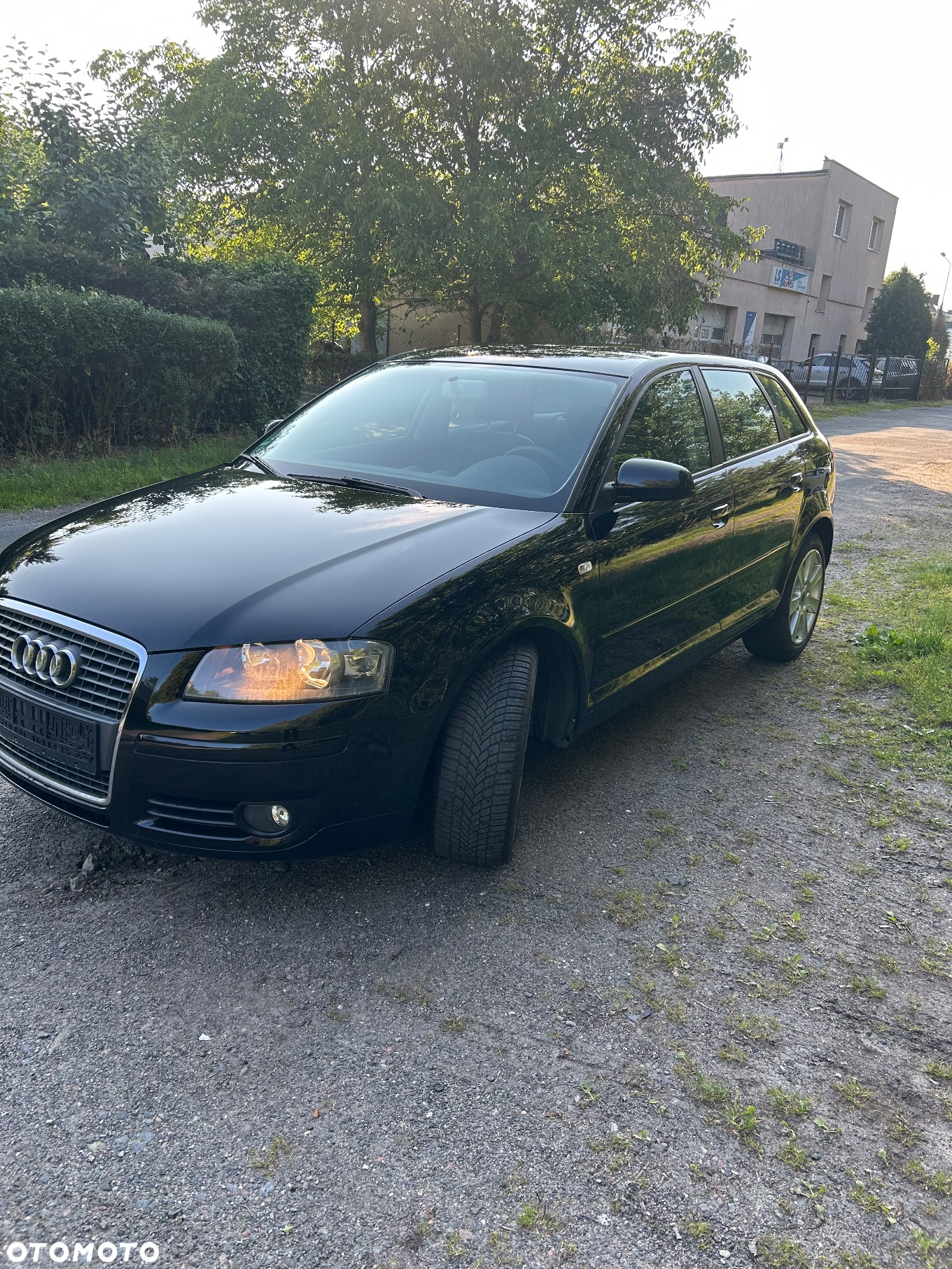 Audi A3 1.6 Sportback Ambition - 10