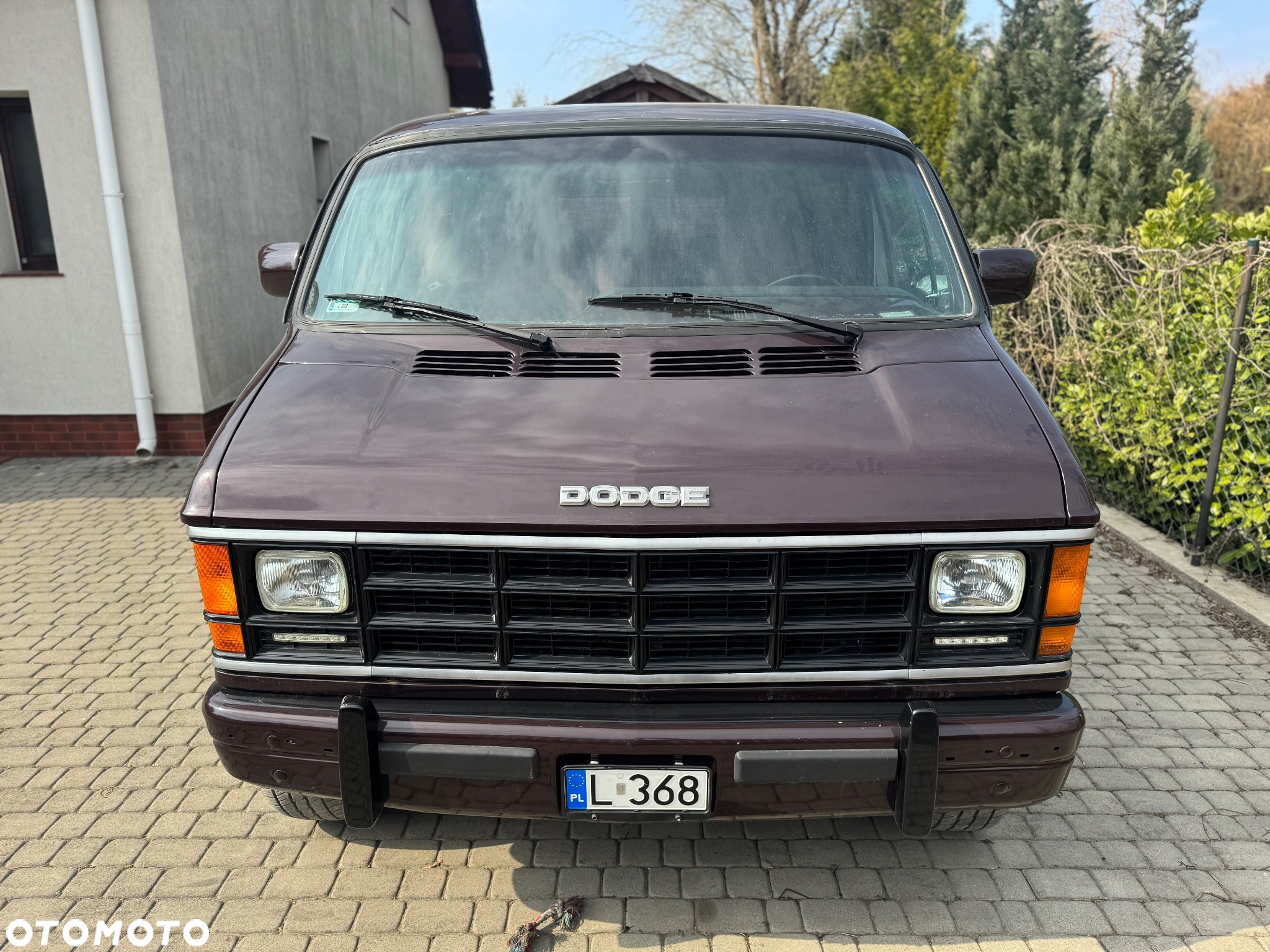 Dodge Inny - 2
