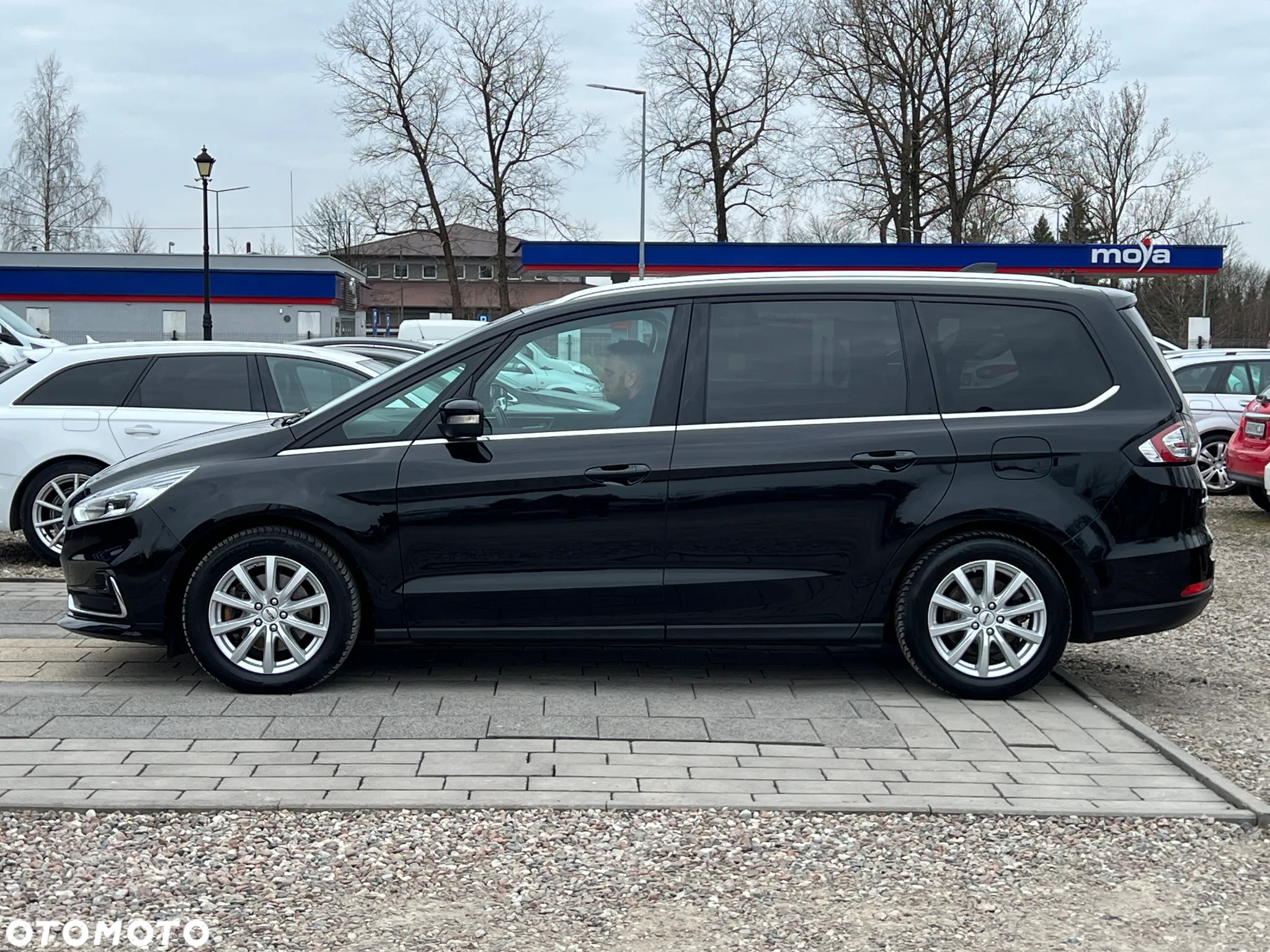 Ford Galaxy 2.0 EcoBlue S&S TITANIUM - 13