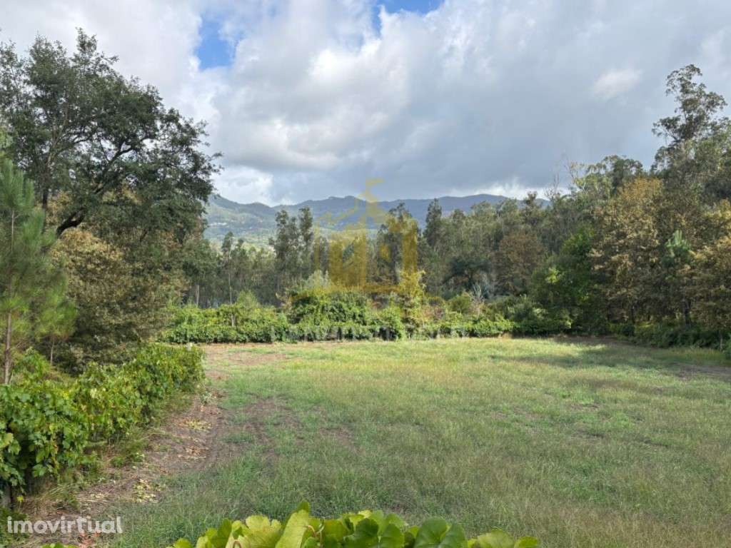 Terreno Agrícola com 5.625 m² | Verim - Póvoa de Lanhoso - Grande imagem: 3/7