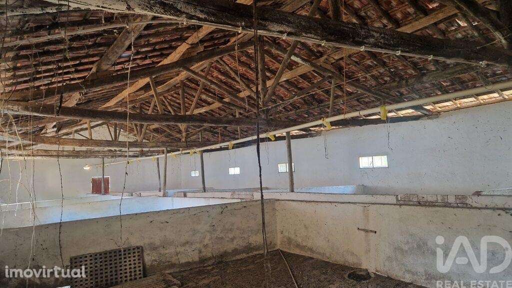 Casa / Villa em Golpilheira de 3294,00 m2 - Grande imagem: 2/27
