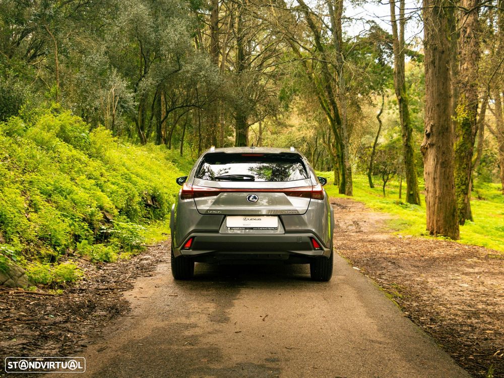 Lexus UX 300e Premium+TAE - 5