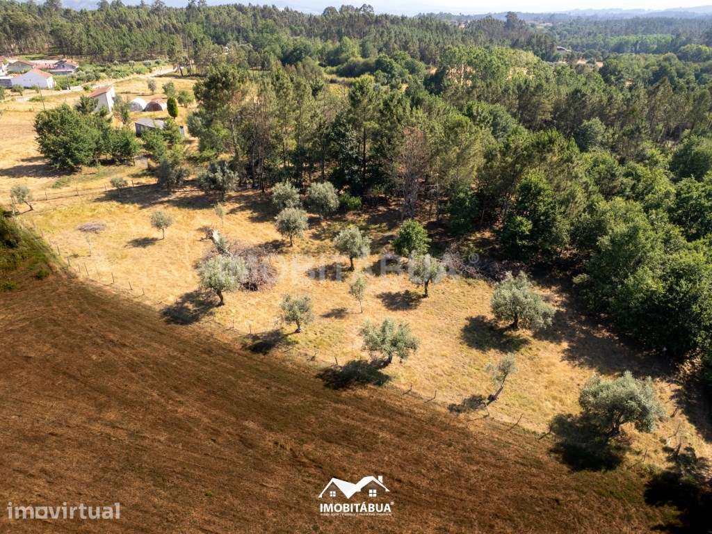 Terreno Rústico com área de 1.850 m2 - Grande imagem: 2/7