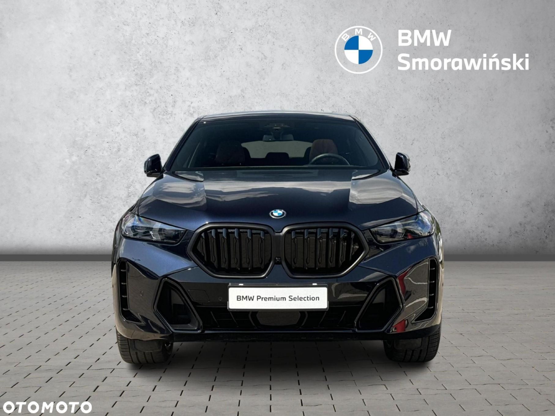 BMW X6 - 8