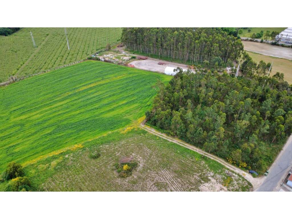 Terreno para venda em Guilhabreu - Grande imagem: 5/6