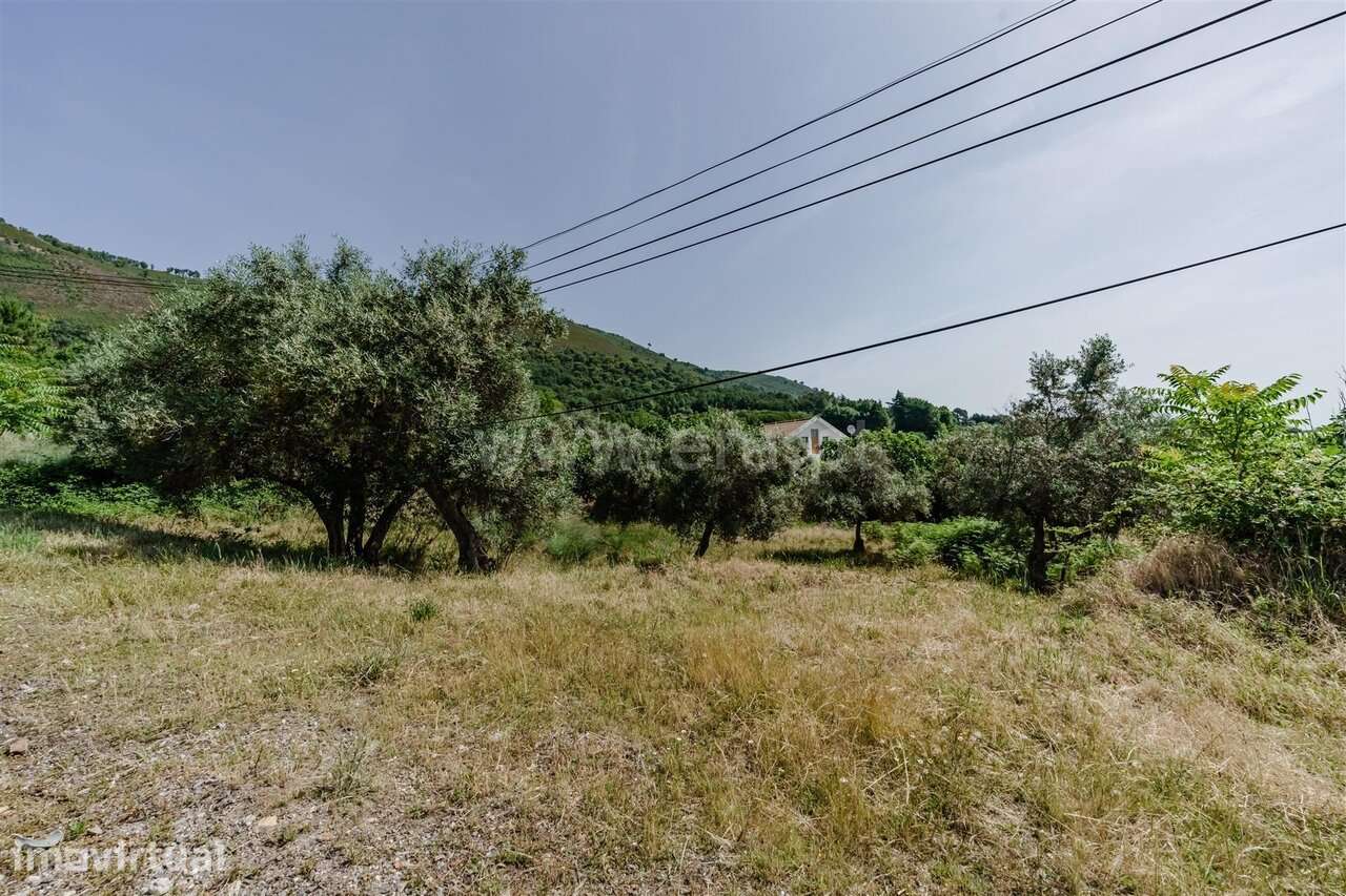 Lote / Fundão, Alpedrinha - Grande imagem: 3/9
