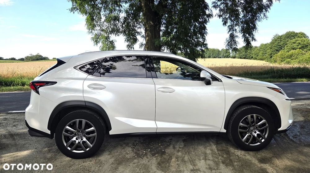 Lexus NX 300 Comfort AWD - 8