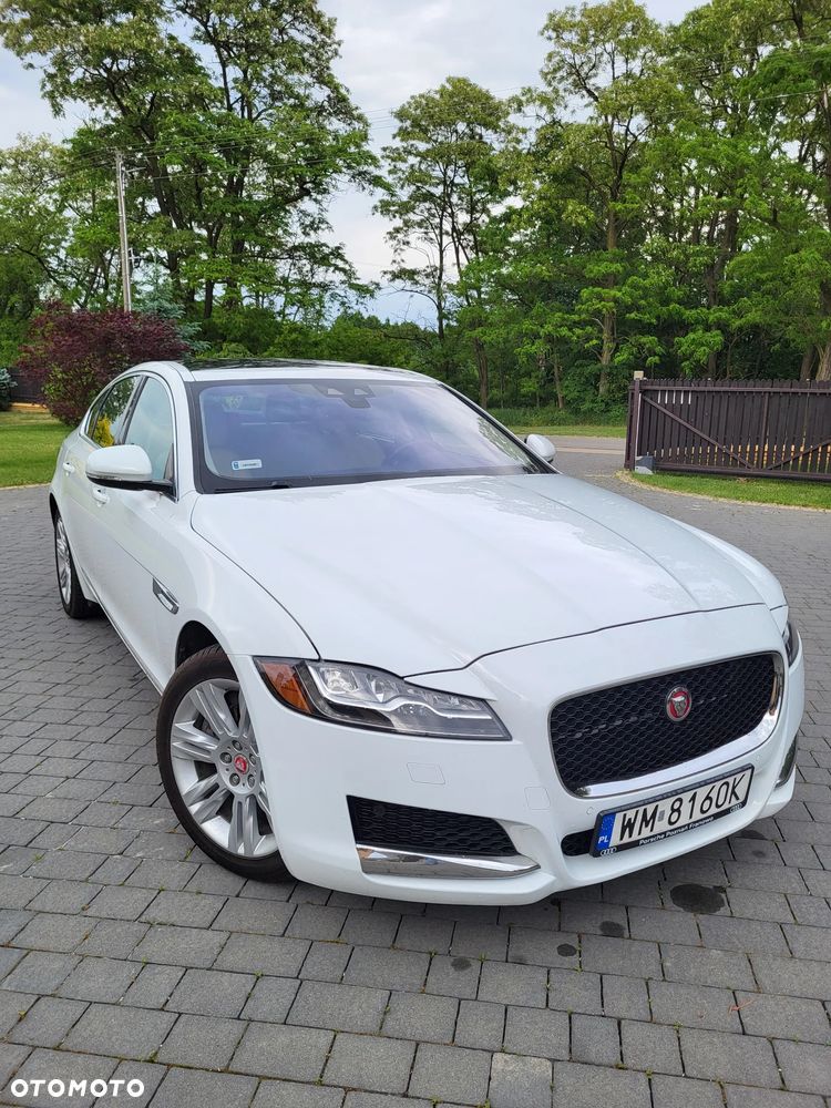 Jaguar XF 3.0 V6 Prestige - 3