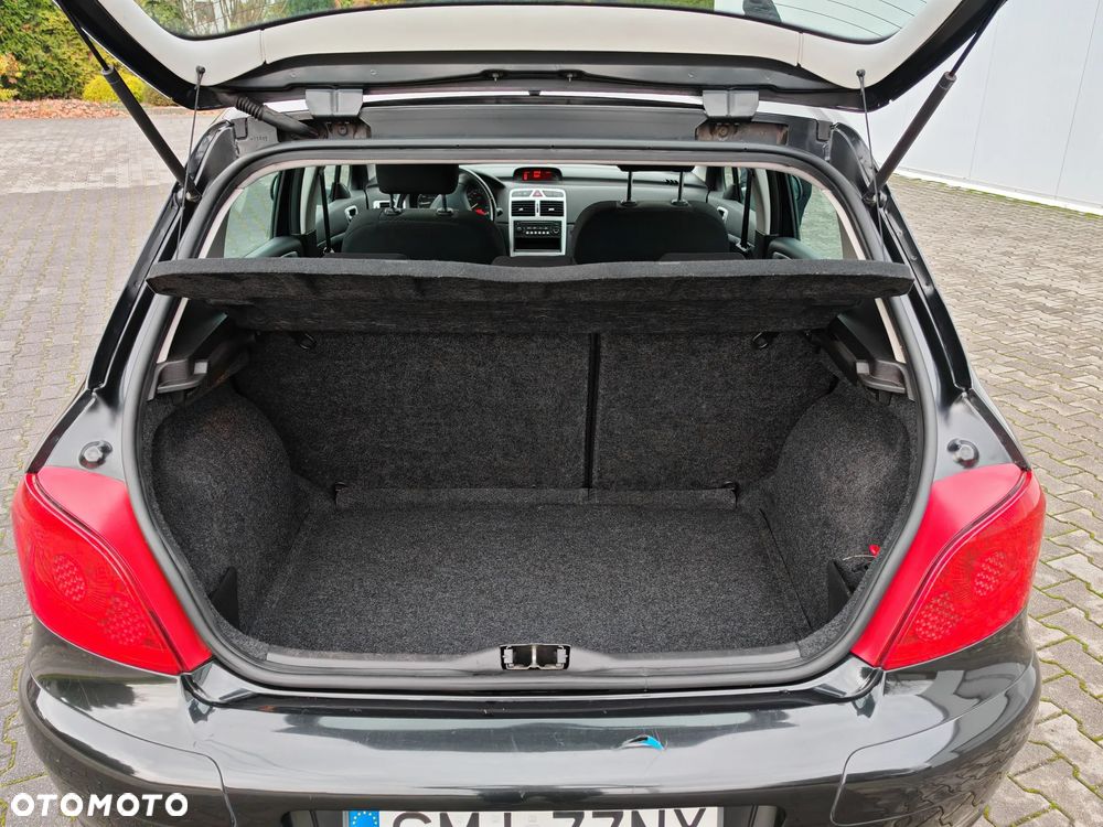 Peugeot 307 1.6 Sporty - 13