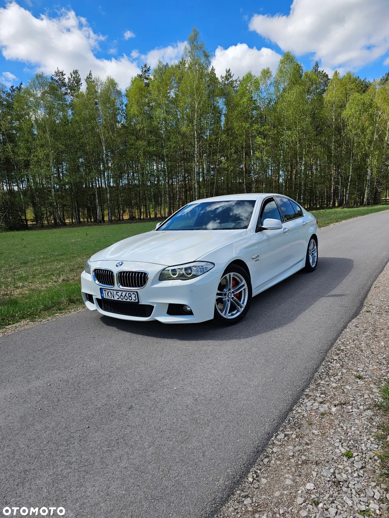 BMW Seria 5 530d xDrive - 5