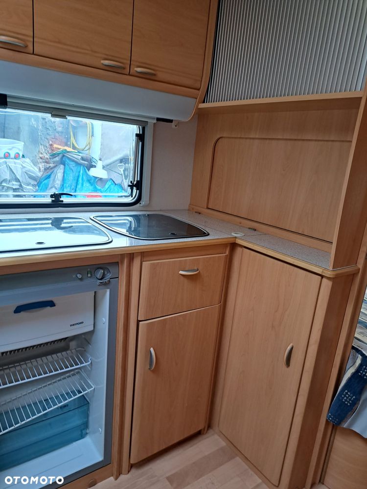Wilk SPORT 490 - 31