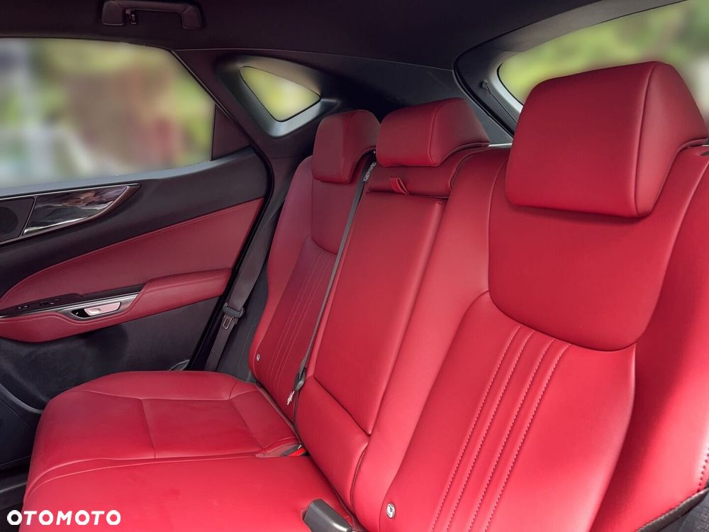 Lexus NX - 4