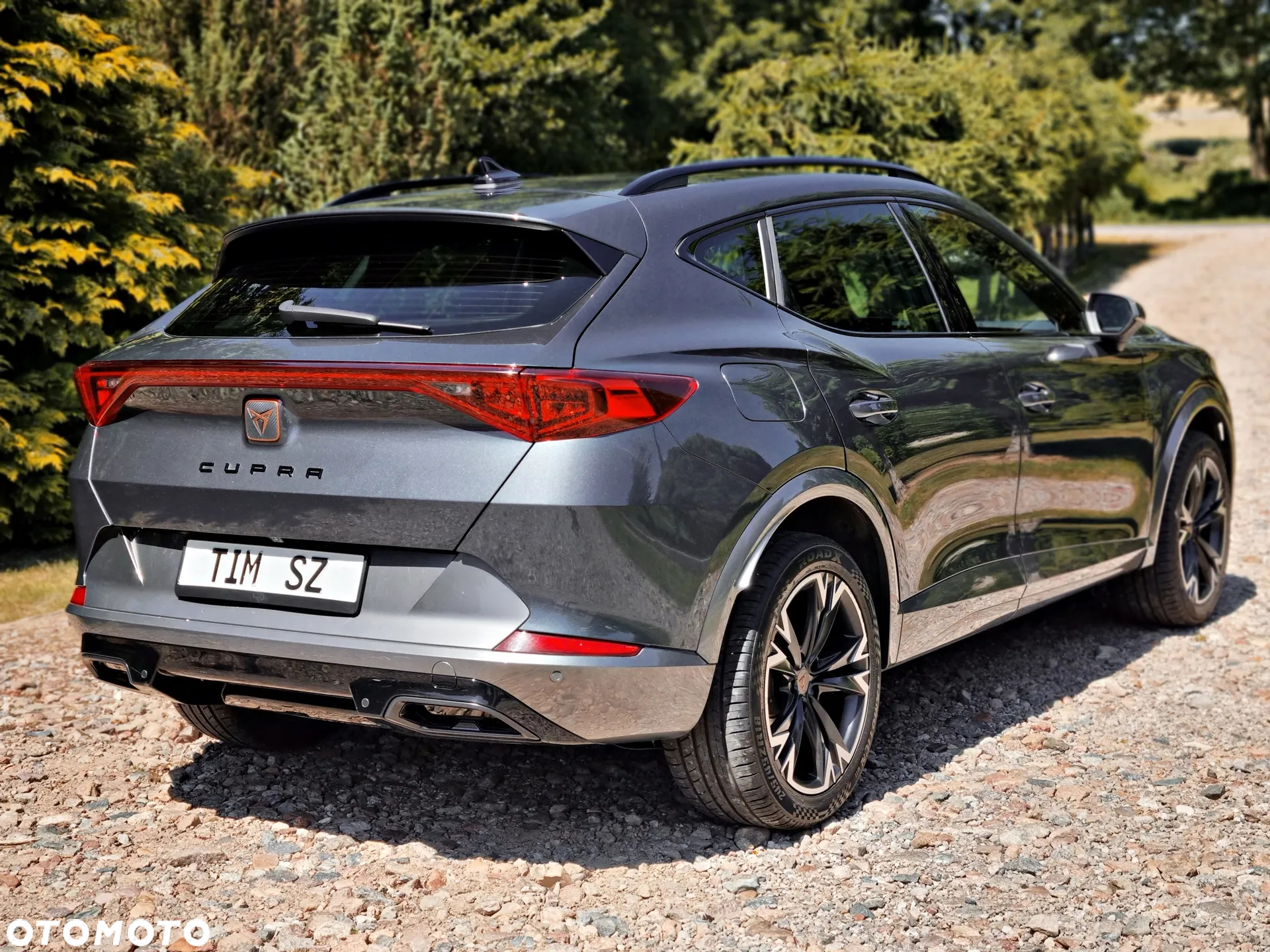 Cupra Formentor 2.0 TDI - 12