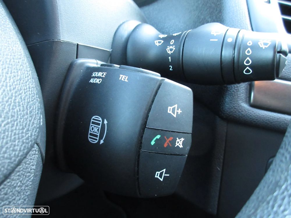 Renault mégane - 31