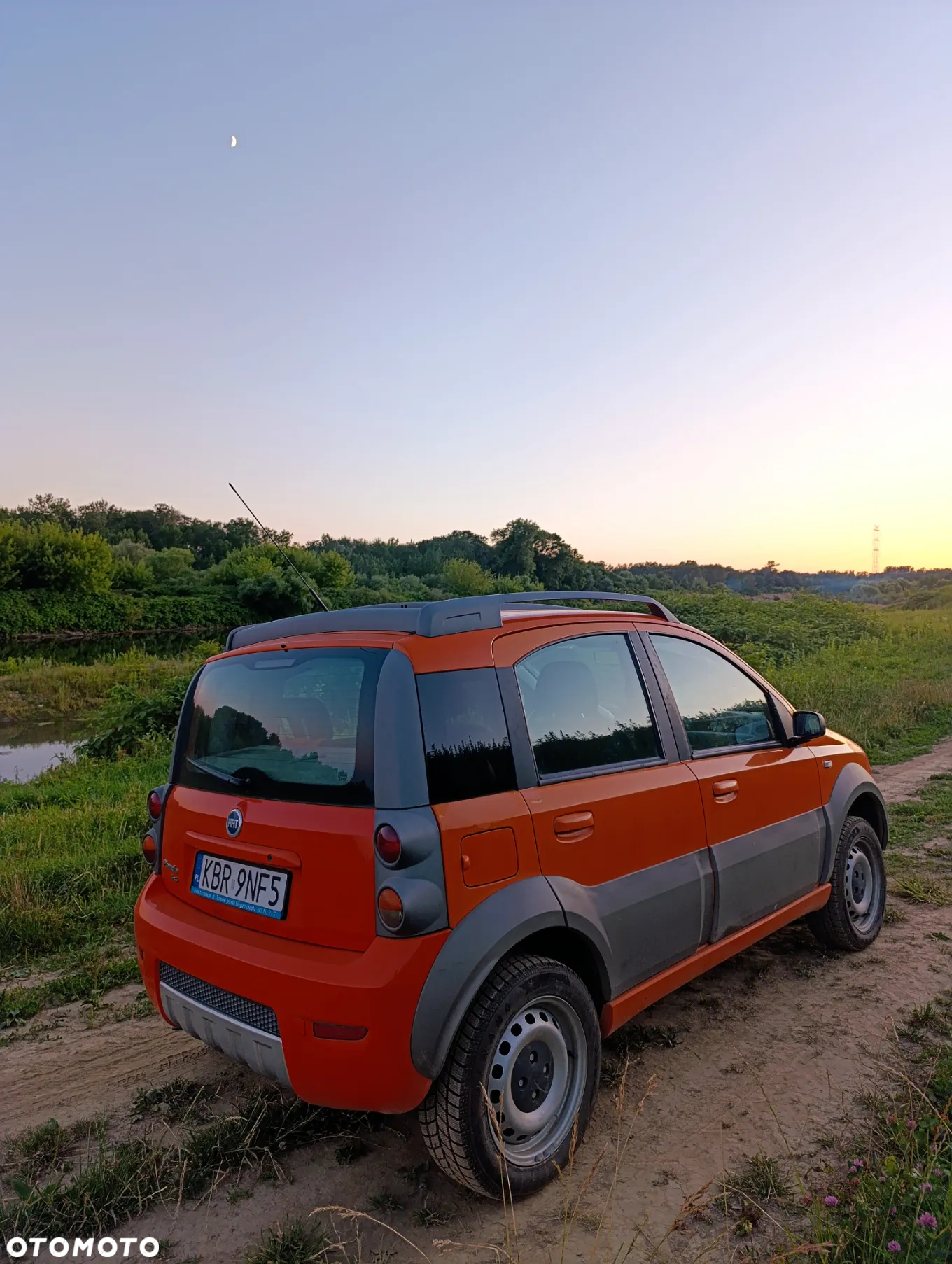 Fiat Panda 1.3 4x4 Multijet Diesel Cross - 6