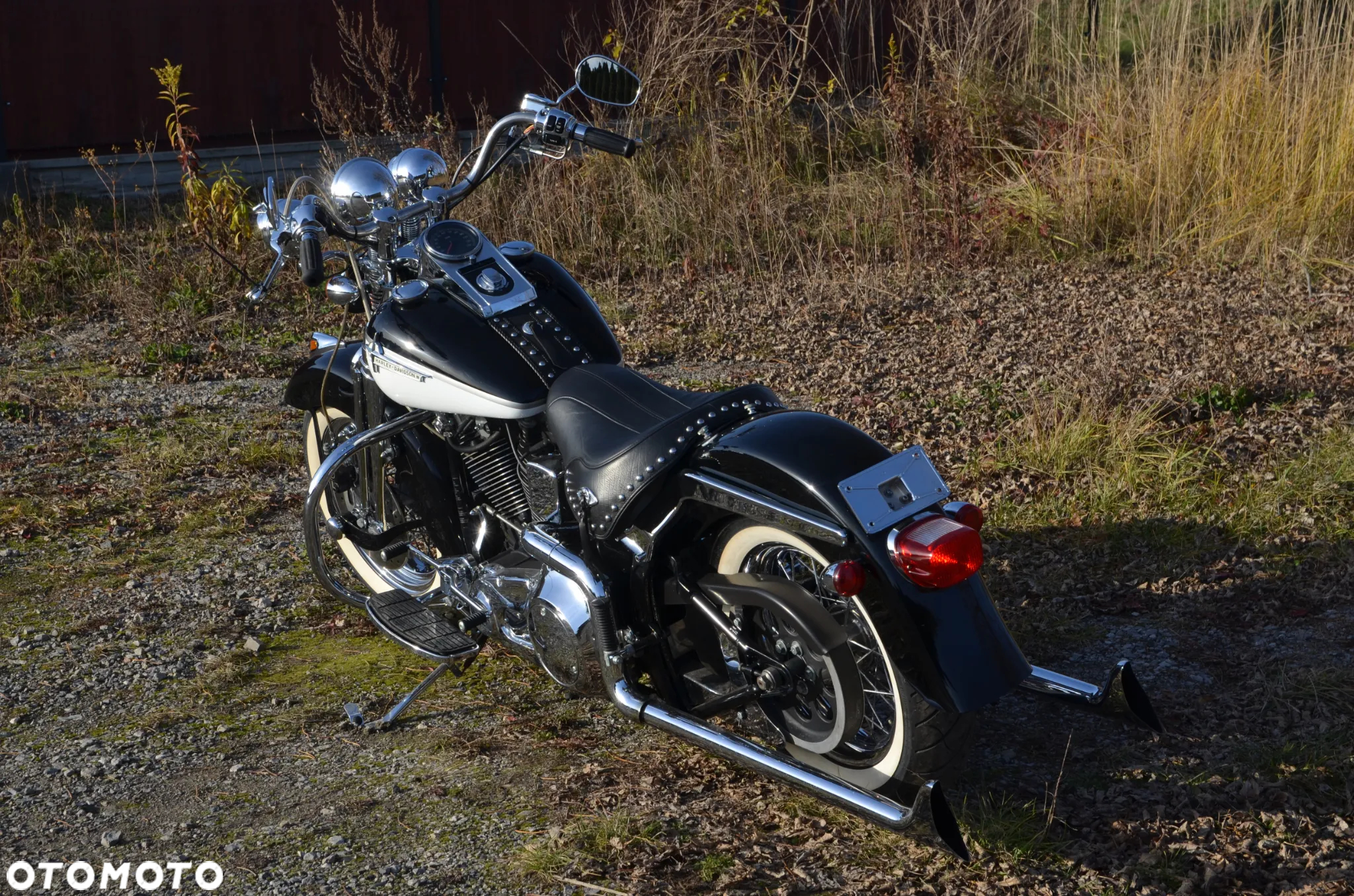 Harley-Davidson Softail Springer Classic - 36