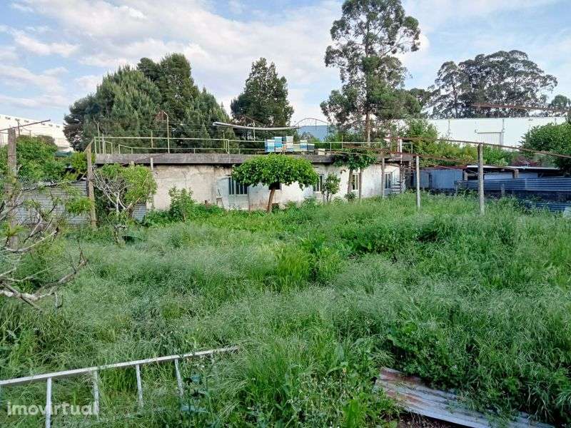 Moradia quatro frentes - Grande imagem: 4/9